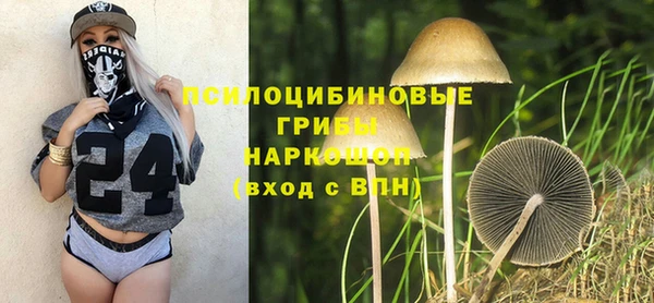 стафф Осинники