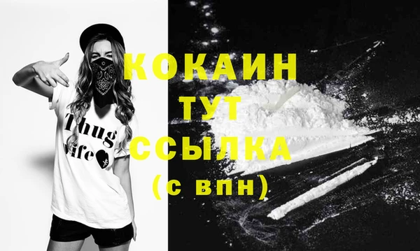 стафф Осинники