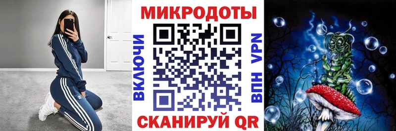 Псилоцибиновые грибы Psilocybine cubensis  Пустошка 