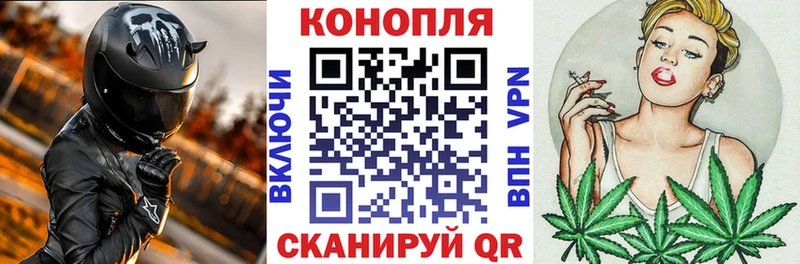 Канабис Ganja  Пустошка 